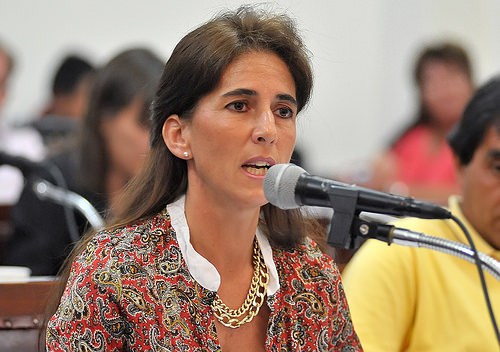 Villamayor: «Pensar que Diputados pueda tener una mujer como presidente, bienvenido sea»