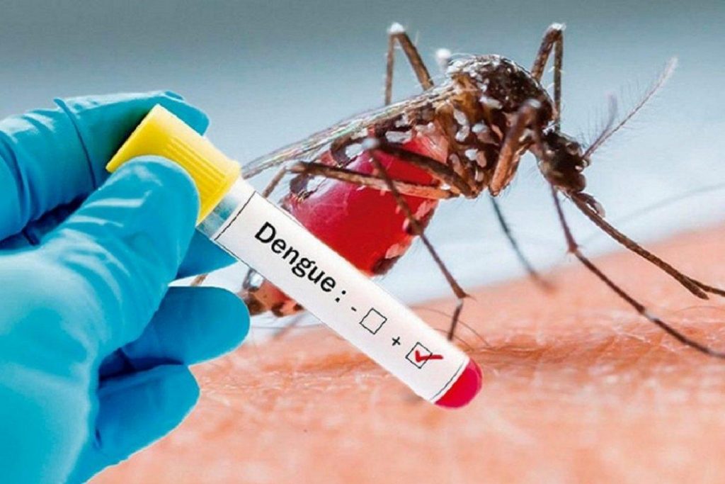 Confirman tres casos de dengue en Salta