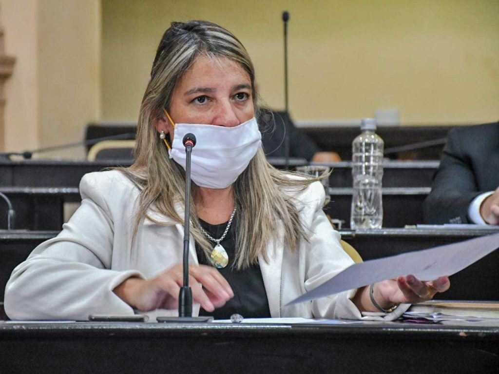 Para Abilés es positivo que se hayan suspendido las PASO en Salta