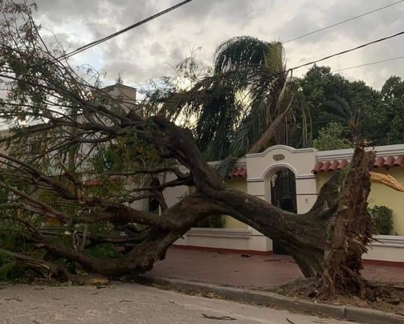 El temporal de viento dejó enormes daños en Tartagal y otras localidades