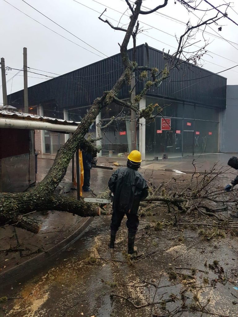 Una fuerte lluvia sorprendió a Salta durante la noche y hubo inconvenientes