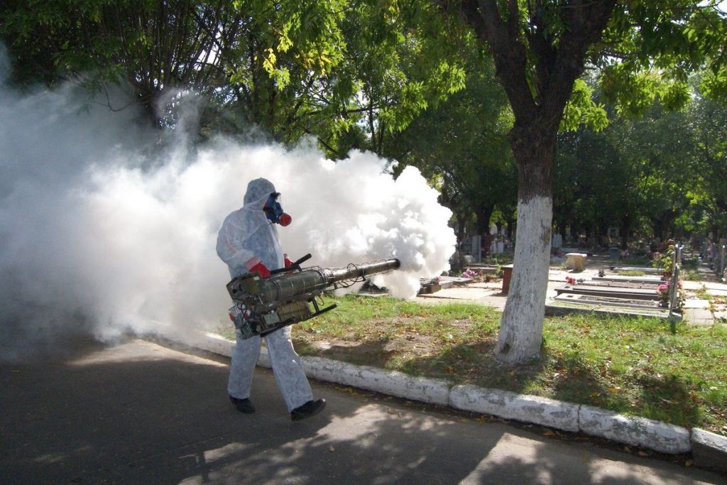 Dengue: ¿Cuál es la verdadera situación de Salta?