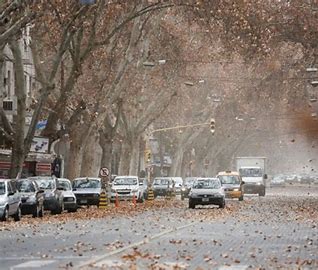 Alerta: ¿Viento zonda? Salta arderá mañana pero después la temperatura caerá de golpe