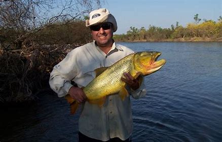 Ya están vigentes los reglamentos de pesca y caza deportiva