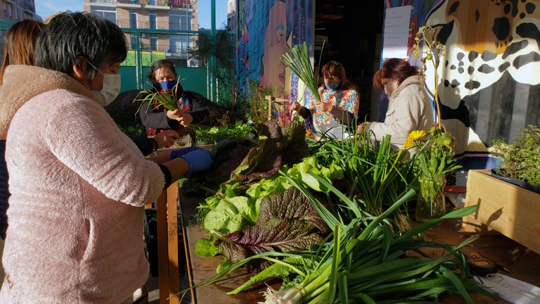 El número de trabajadores no registrados llegó al 50%: se triplicó en menos de un año