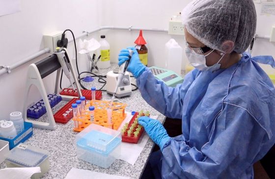 Epidemiología notificó 25 nuevos casos de la variante Delta en Salta