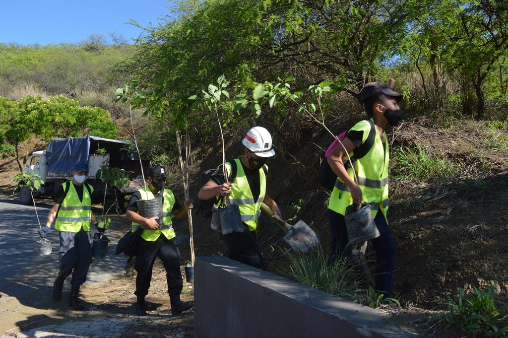 La Municipalidad lanza una plantación masiva en el cerro San Bernardo