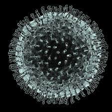 Omicron, la nueva variante del coronavirus preocupa a todo el mundo