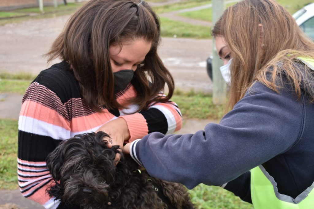 Agenda : Vacunación antirrábica desde el lunes se atiende en diferentes espacios municipales
