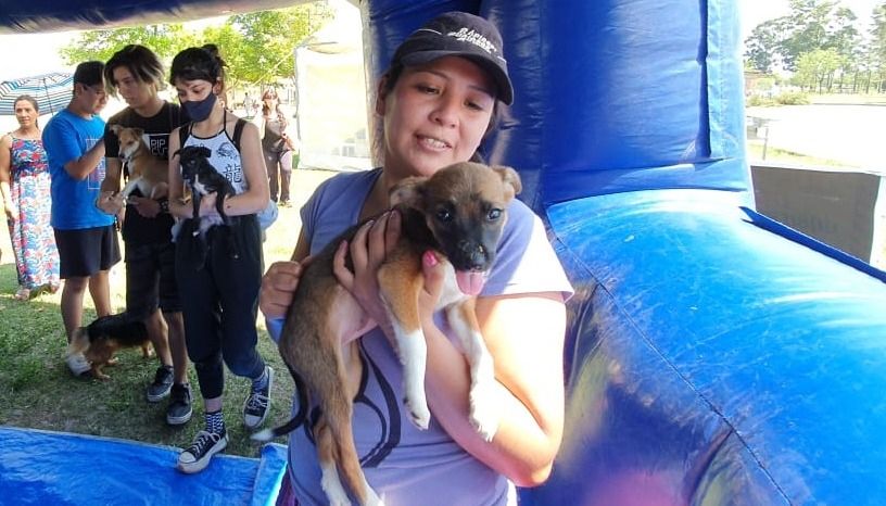 “Enamórate a primera vista”, la campaña de adopción de mascotas