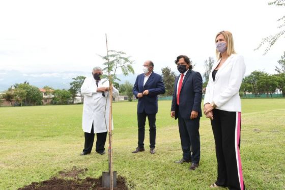 Con la plantación de cebiles colorados, el gobernador Sáenz honró al general Güemes