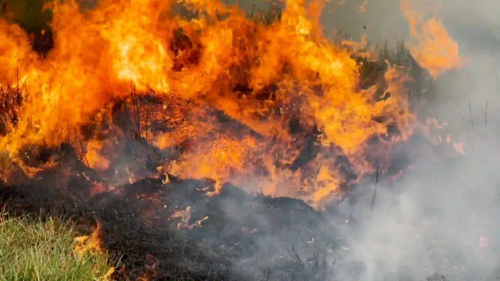 En medio de los incendios, las lluvias llevaron algo de alivio a Corrientes