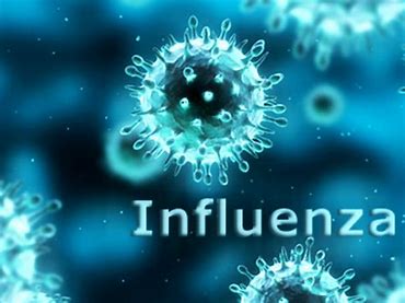 Alarma: pico histórico de casos en influenza en Salta