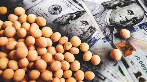 Dólar soja: por qué en el Gobierno creen que la iniciativa será un «éxito»