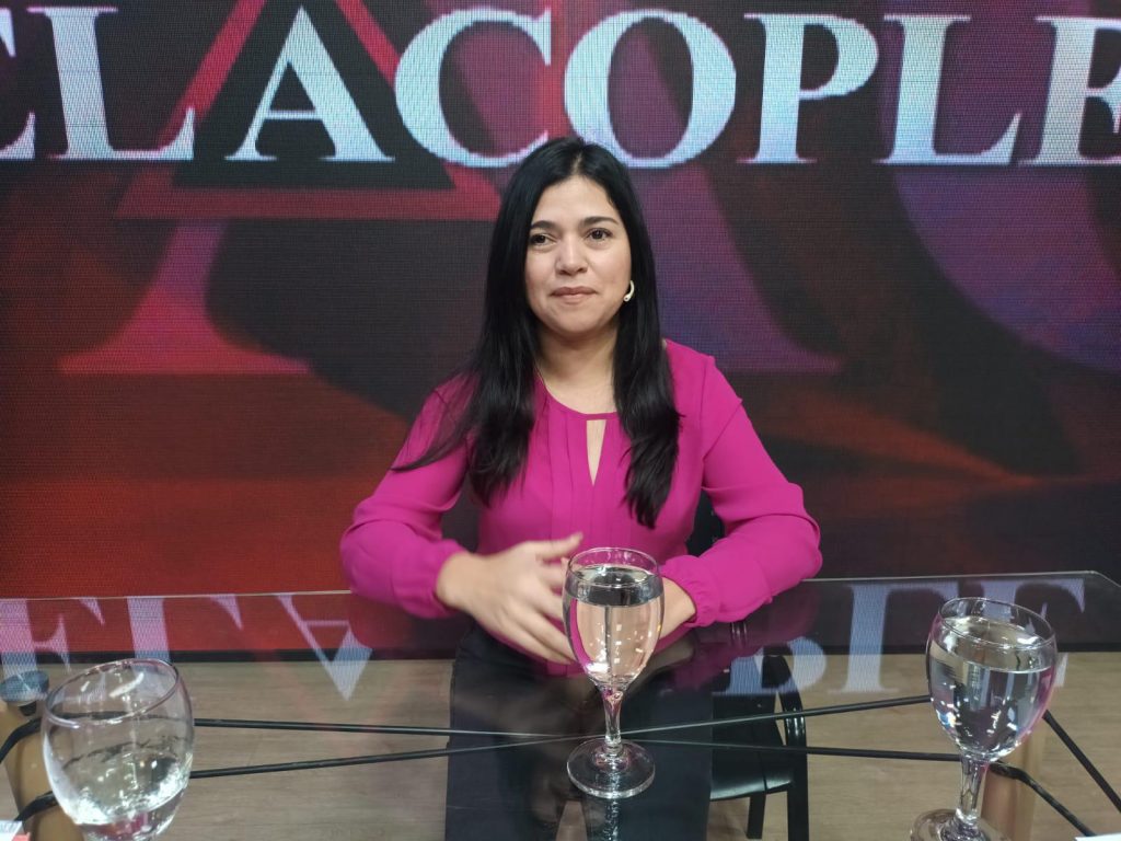 Recomiendan a los partidos políticos generar herramientas para combatir y detectar la violencia