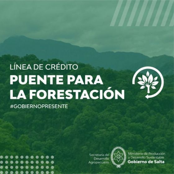 Salta impulsa el crecimiento del sector forestal a través del Crédito Puente