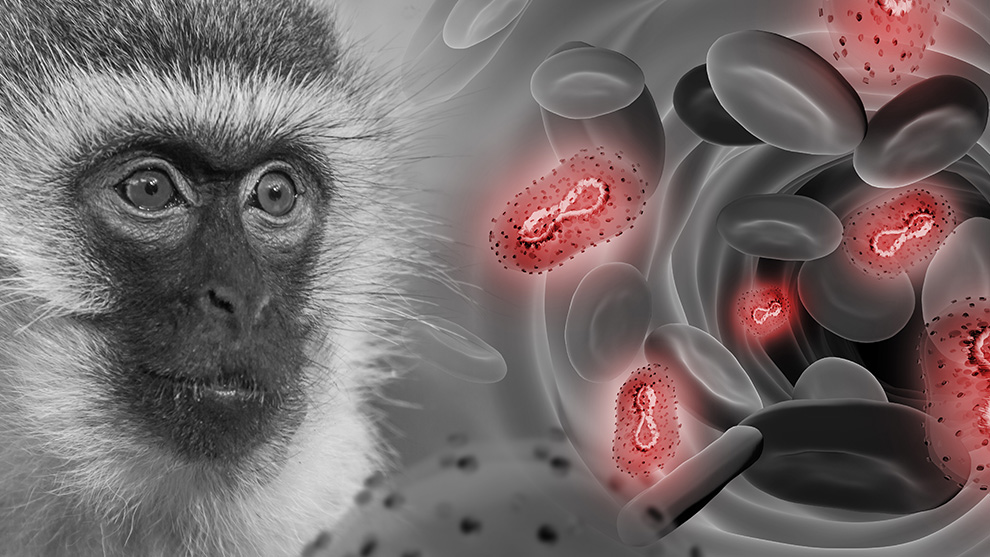 Viruela del mono: Reino Unido asegura que una vacuna danesa “ofrece una protección del 78% contra el virus”