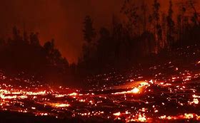 Chile decretó el toque de queda en las zonas afectadas por los incendios forestales