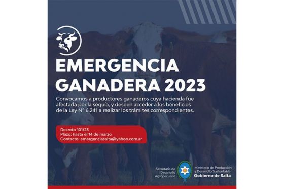 Emergencia Ganadera: el 14 de marzo vence el plazo para la presentación de declaraciones juradas