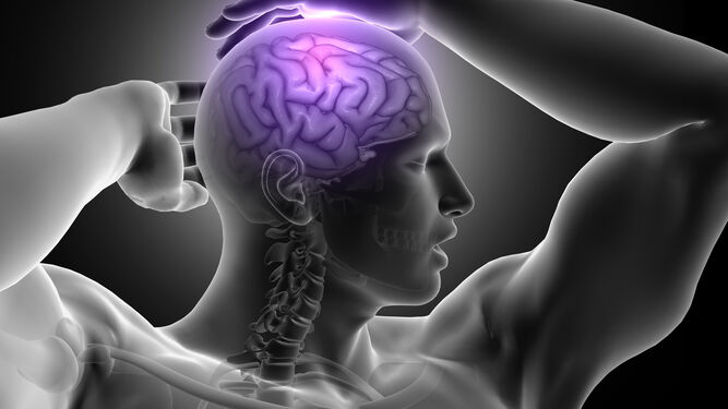 Deterioro cognitivo: Seis claves para mantener el cerebro joven