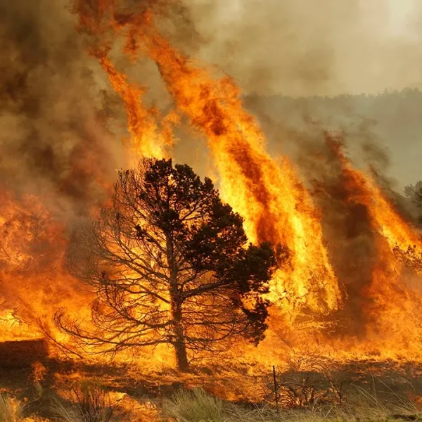 Defensa Civil advierte por riesgo extremo de incendios forestales en Salta