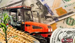 Dólar agro: el mercado espera una masiva liquidación de divisas en los próximos días