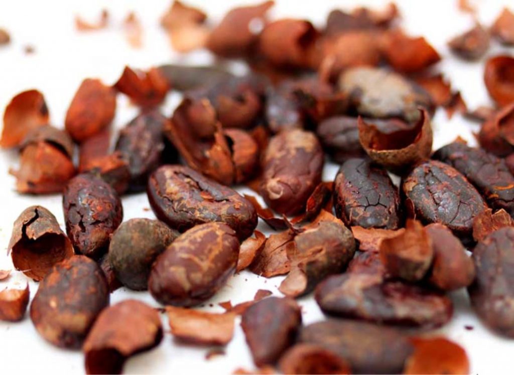 Cáscara de Cacao| Propiedades & Usos. Excelente suplemento nutritivo