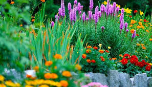 Se realizó la Expo Feria Flora Insólita en el Mercado Artesanal