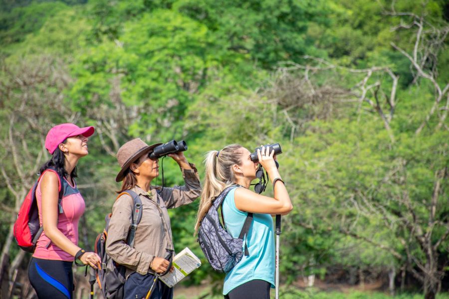 Salta líder en avistaje de aves en la Argentina