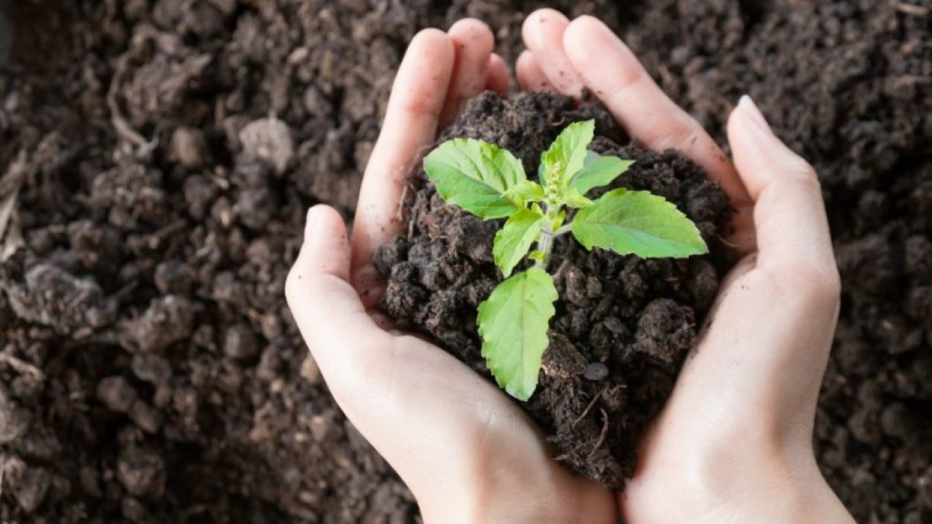 Las empresas mineras deberán implementar políticas de compensación ambiental