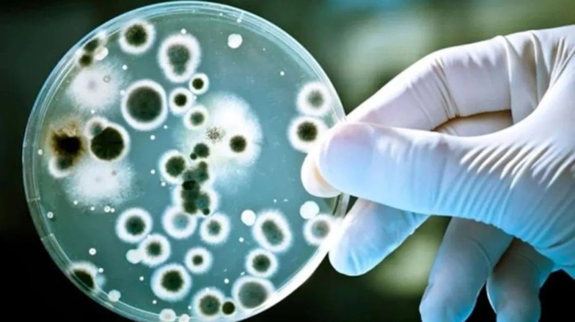 Crecen las infecciones por una bacteria que produce faringitis