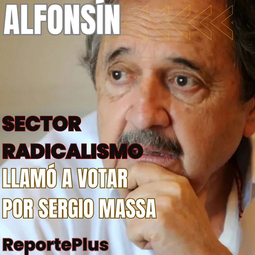 Alfonsín | Llamó a votar a Sergio Massa