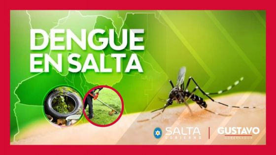 Advertencia nacional sobre mayor riesgo de propagación del dengue