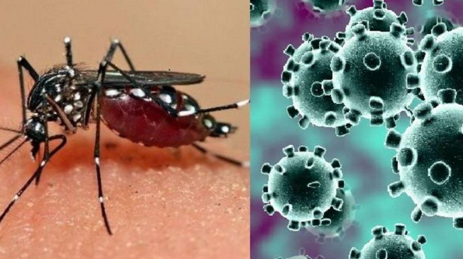 El Dengue y el Covid no dan respiro y continúan en alza en Salta