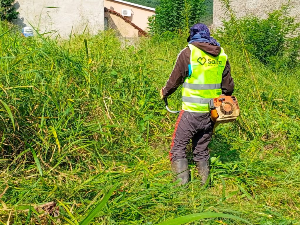 LUCHA CONTRA EL DENGUE : La Municipalidad inició la limpieza de baldíos en mal estado