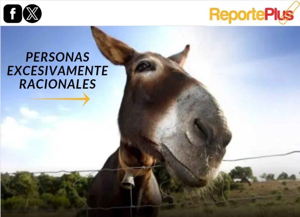 Hay personas que son como el Burro de Buridán