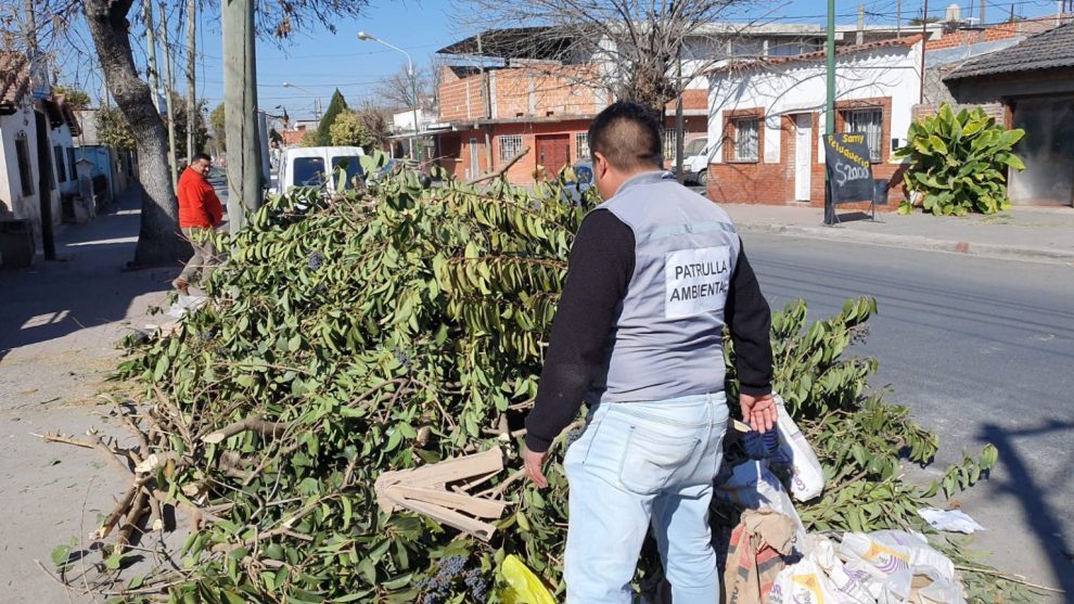 Multas de hasta tres millones de pesos para salteños que poden sin autorización