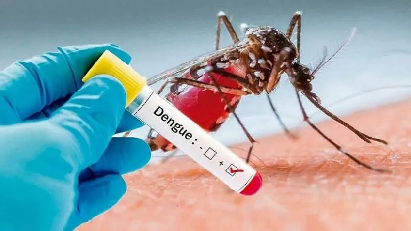 Dengue: Confirmaron un caso positivo en Salta Capital