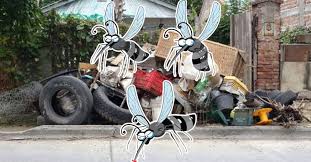 Este miércoles habrá descacharrado en los barrios Islas Malvinas y San Silvestre