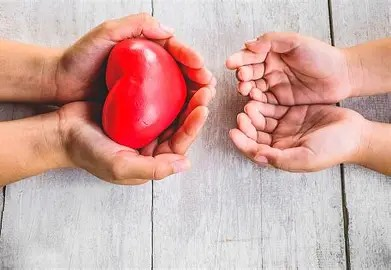 Mes de la Donación de Órganos: En Salta, 299 personas esperan un trasplante