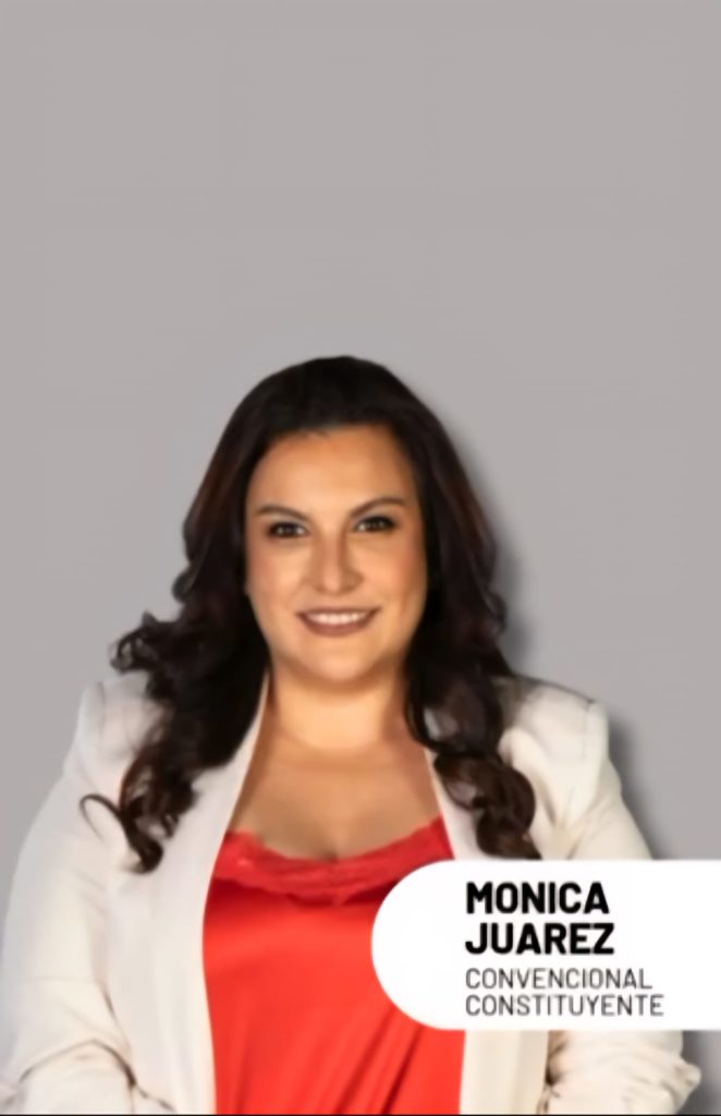 Mónica Juarez | Necesitamos modernizar la Carta Orgánica Municipal