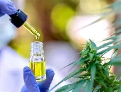 Cannabis medicinal: Diputados debatirán la creación del Registro provincial