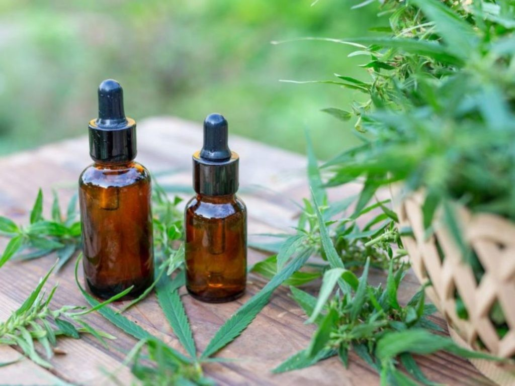 Cannabis medicinal: Salta ya tiene su propio registro provincial