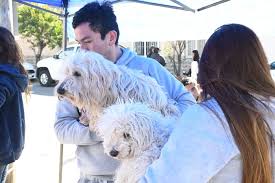 La Muni realizó vacunación masiva para conmemorar el Día Mundial contra la Rabia