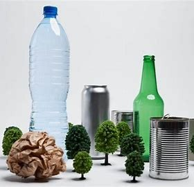 Patrulla Ambiental: seis sanciones por arrojo ilegal de residuos y poda no autorizada