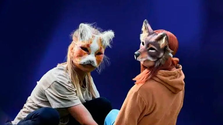 Escándalo en una veterinaria: un therian que se autopercibe perro pidió ser atendido por moquillo