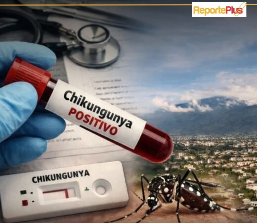 El chikungunya avanza en Salta : preocupación sanitaria