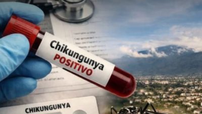 El chikungunya avanza en Salta : preocupación sanitaria