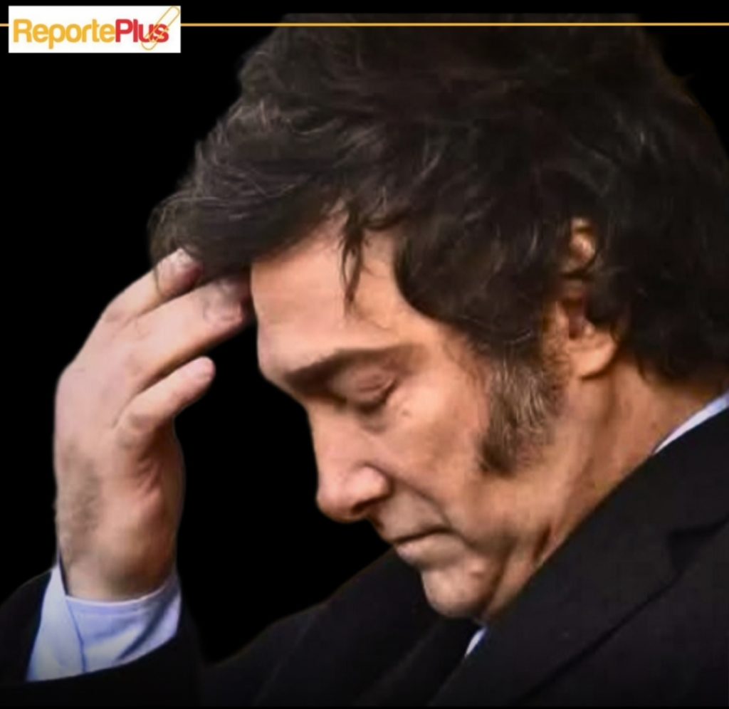 Milei en caída: solo el 29,4% lo reelegiría