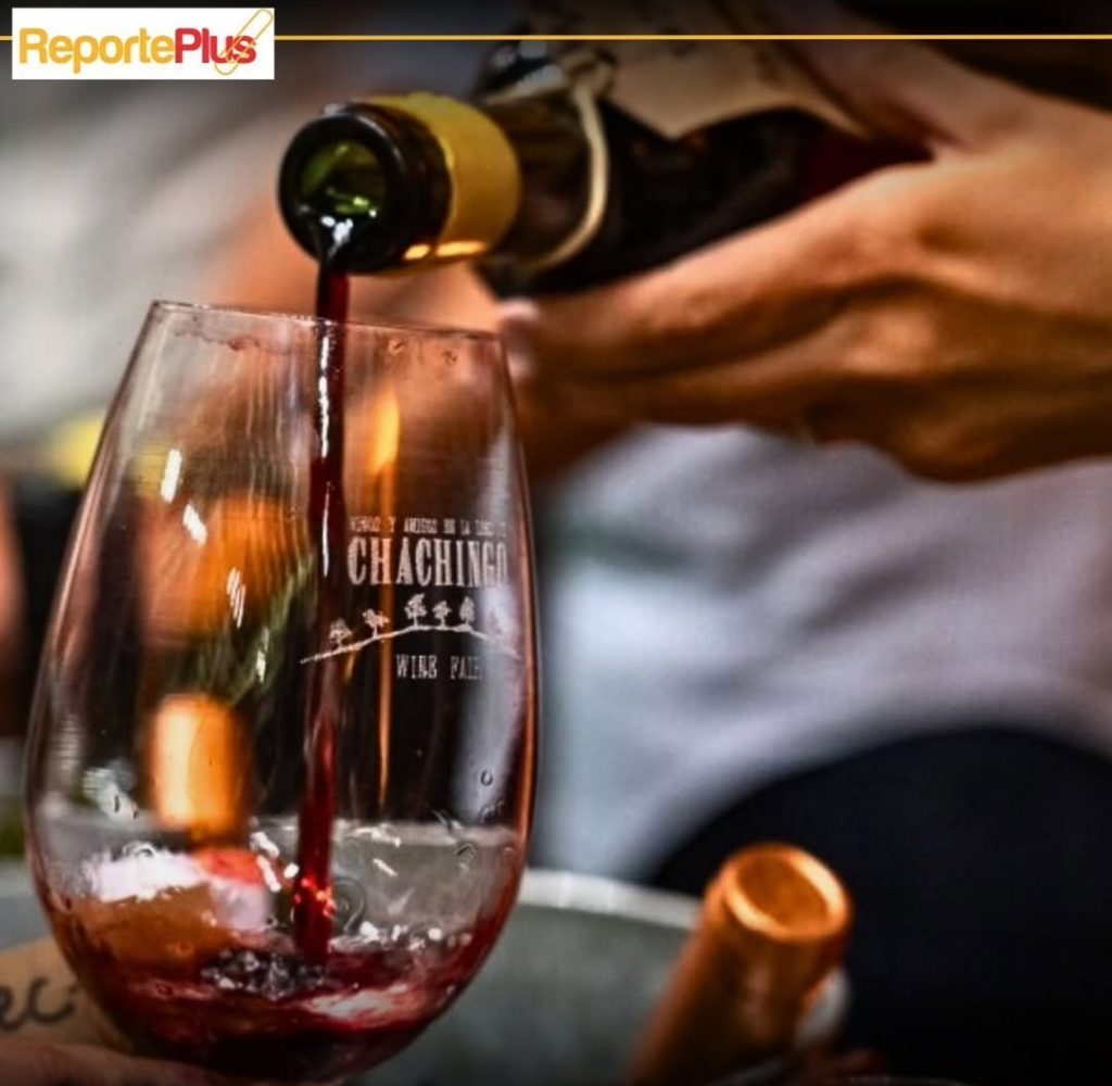 Salta vuelve a brillar con la Chachingo Wine Fair